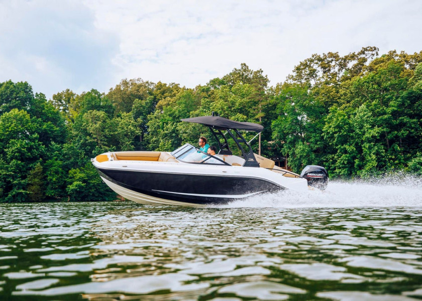 Bayliner D20