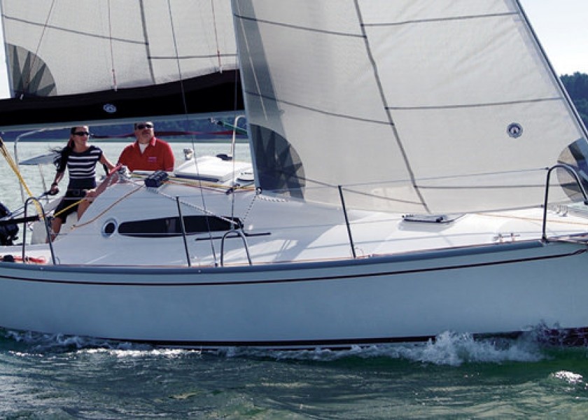 Delphia 26