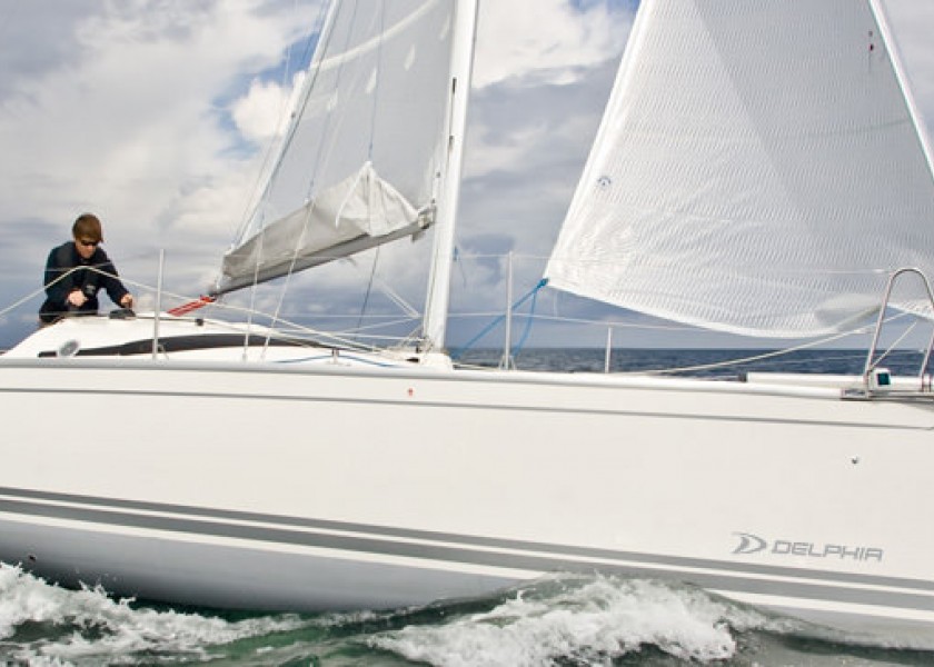 Delphia 28