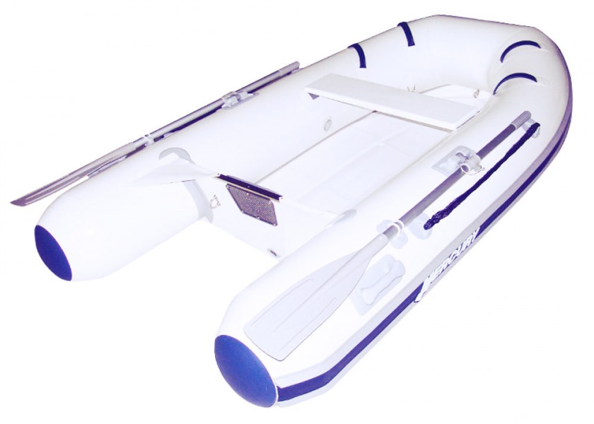 Mercury 310 Dynamic RIB