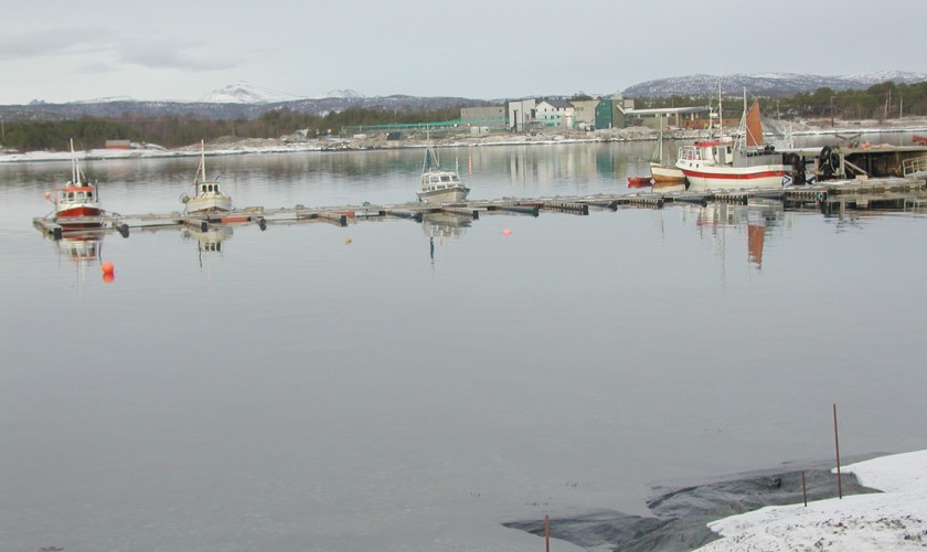 Sagfjorden B&aring;tforening