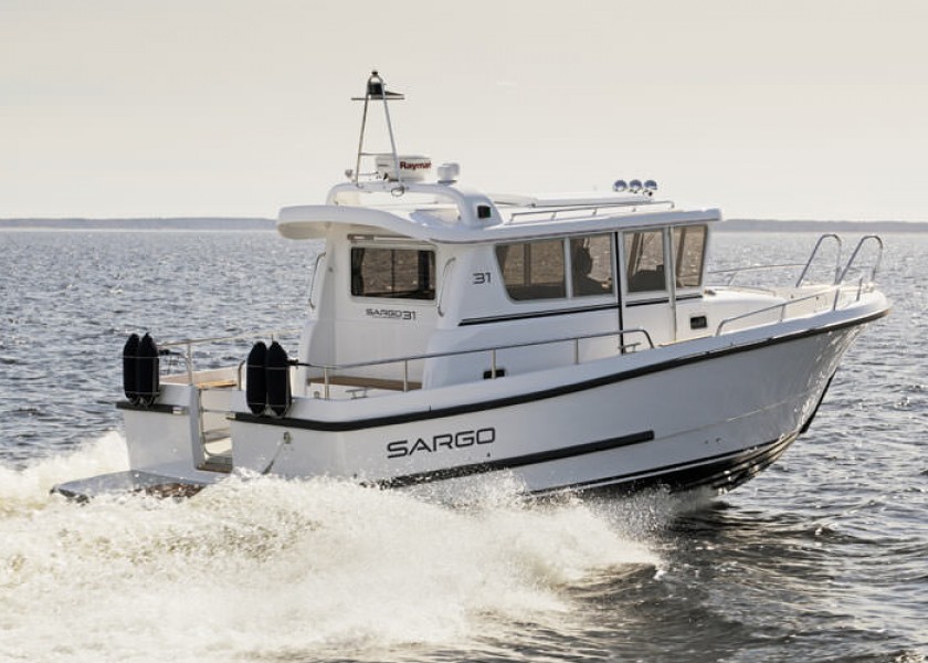 Sargo 31