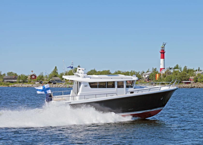 Sargo 36