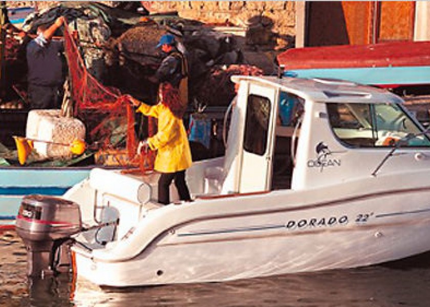 Sessa Fishing Line Dorado 22