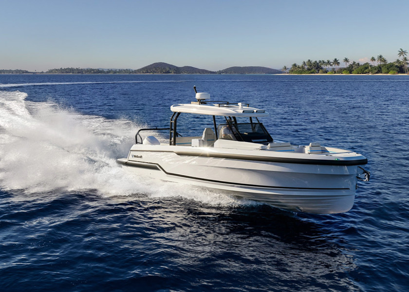Wellcraft 33 T-Top