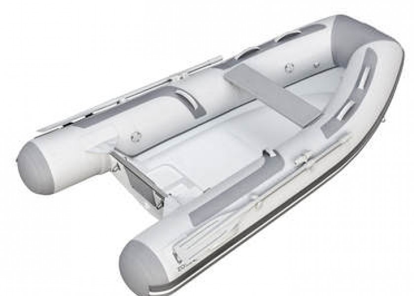 Zodiac Cadet Rib 290