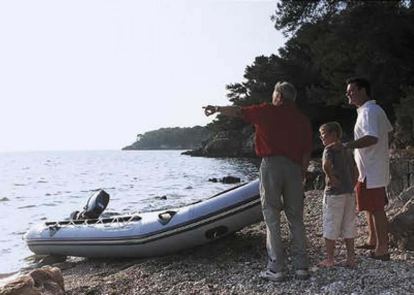 Zodiac Classic Mark II C Alu